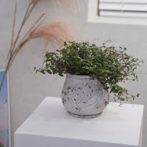 데팡스 인디 다육이화분 빈티지 가드닝 인테리어 화분