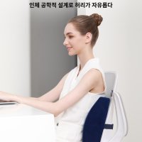 받침 등받이 허리 쿠션 럼바 템퍼