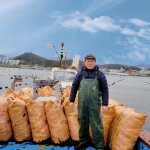 기장미역 산모미역 출산선물 500g
