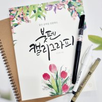 캘리그라피 독학연습책 붓펜캘리그라피 입문세트