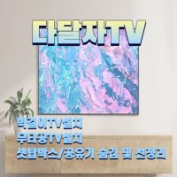 성남 분당 위례벽걸이티비설치 대형TV이전설치 무타공TV 셋탑매립 선숨김 전문업체