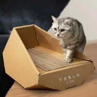 테슬라 사이버트럭 고양이 스크래쳐 tesla