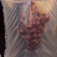 포도포장 샤인머스켓포장 0.5kg 1장 공기포장