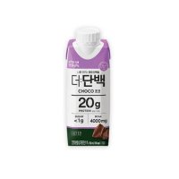 더단백 초코 드링크 프로틴 단백질음료 250ml x 36