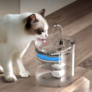 반려동물 정수기 자동순환 스마트 항온 고양이 강아지 전기 안 꽂는 물 마시기 용품