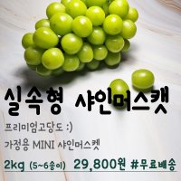 샤인머스켓 농부가직접판매하는 실속형 샤인머스캣 2kg(5~6송이)