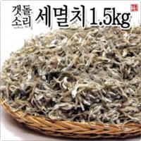 세멸치1.5kg 완도