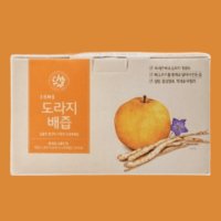 초록마을 도라지배즙 100mL 40개입 1박스