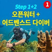 PADI 오픈워터+어드벤스드 스쿠버다이빙 자격증 코스