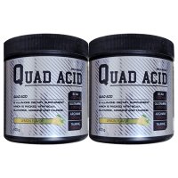 (2개)쿼드엑시드 레몬맛 bcaa 300g 2