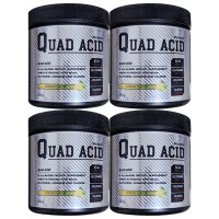 (4개)쿼드엑시드 레몬맛 bcaa 300g 2