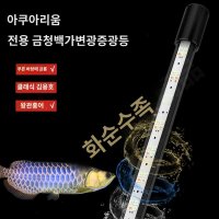 마인 태닝등 용어 아로와나 과배 고배 금용 청용 발색 수중등 LED 수중조명