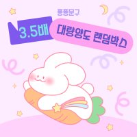 💕3.5배 대량양도 랜덤박스💕 포용/ 포장용품/ 다꾸/ 랜덤박스