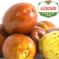 신선마켓 사과대추 건대추 슬라이스 1kg-10kg 1박스