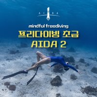 프리다이빙 자격증 AIDA 2(초급) 서울 경기