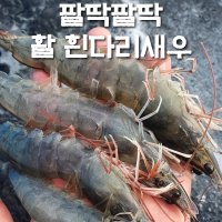 국산 흰다리새우 대하 왕새우 제철 1kg 새우철