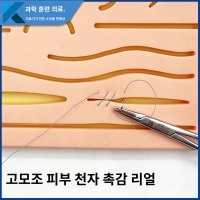 포셉 연습세트 피부 봉합연습 수술 키트 홀더 피하