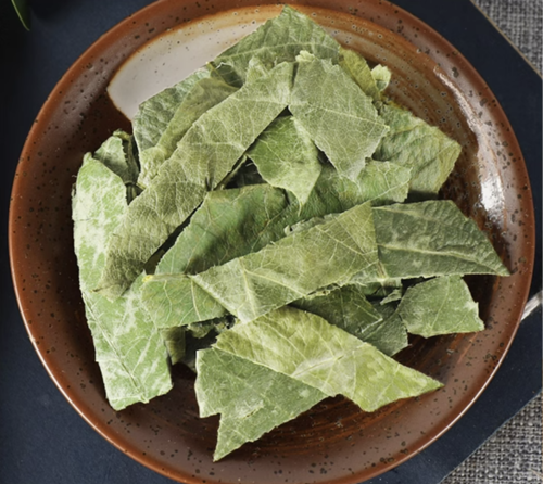비파엽 500g 비파잎