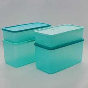 타파웨어 싱싱블록 2인조 그린 반찬통 대파 야채 수박 밀폐용기 초록