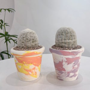 화분포함 완제품 눈내린것 같은 하얀털을 가진 기둥 선인장 환락 - 핸드메이드 토분M 2color