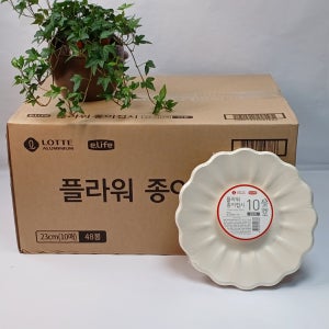 롯데 플라워 종이접시 23cm 1박스 480개입 (10개입X48봉)
