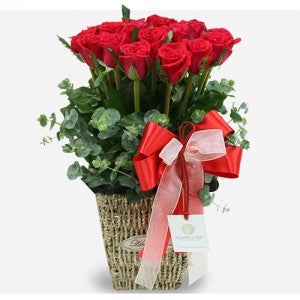 메리엘 레드 (FT0010)