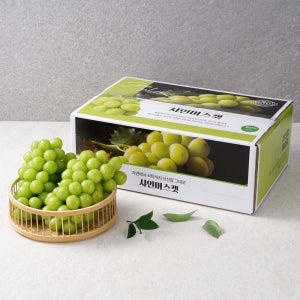 고당도 샤인머스켓 설 명절 망고포도 청포도 선물세트