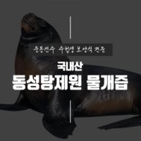 [동성탕제원] 물범즙 물범 엑기스 물개즙 110ml 30포 운동선수 보양식 직접 제조