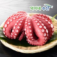 통영 돌문어 500g 산지직송 통영 자숙 활 문어