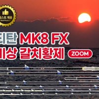 모짜르트 티탄 mk8 fx 비상 갈치황제 최고의 갈치선상대