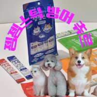 [씨젬 젬젬스틱] 고양이 강아지 간식 자연산 방어로 만든 젬젬스틱 신제품 츄르