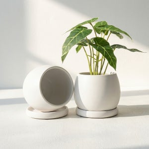 쎄르 세라믹 화분 인테리어 분갈이 볼항아리 1호 도자기 화분