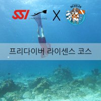 [비글러다이빙]수작코리아 체험 프리다이빙 교육 / 무의도스킨스쿠버 / 체험 프리다이빙