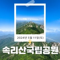 [10월 15일]천상의화원 곰배령-28인 우등버스 고양시-파주시 출발