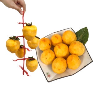 무료배송 곶감걸이 10개 (곶감100개용)