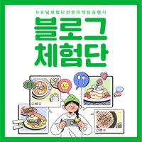 라온디어스 블로그 블로거 리뷰 체험단 (배송형)