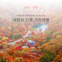 [KTX] 단풍의 명소 내장산 가을 당일치기 기차여행(10/28~11/12)