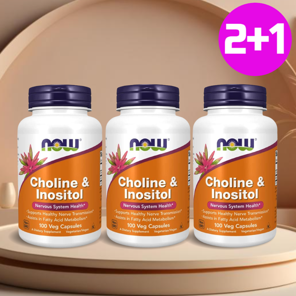 2+1 나우푸드 콜린 <b>이노시톨 500mg</b> 100정 식물성캡슐 3통