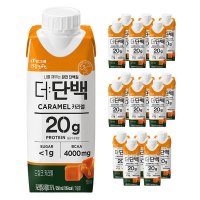 빙그레 더단백 프로틴 드링크 캬라멜 250ml 18개