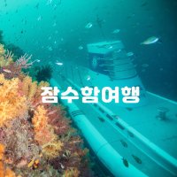 제주도 서귀포잠수함+에어시티호텔 2박3일 패키지