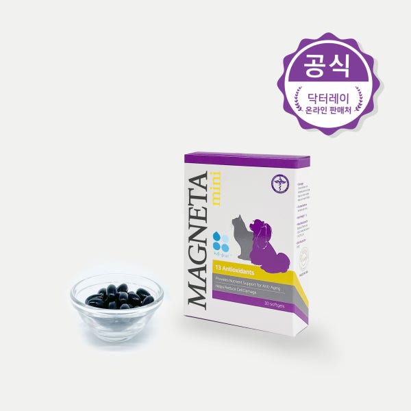 닥터레이 마그네타 미니 하프 강아지 항산화제 영양제 레이앤이본