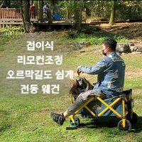 웨건전동휠 구르마 전기 캠핑 웨건 전동 카트 운반카