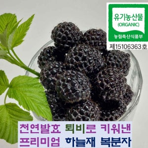 [2025]햇 유기농복분자4kg 믿음가는하늘재농원 미세먼지,황사안심 하우스재배 천연활력제