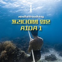 프리다이빙 자격증 AIDA 1(입문) 서울 경기