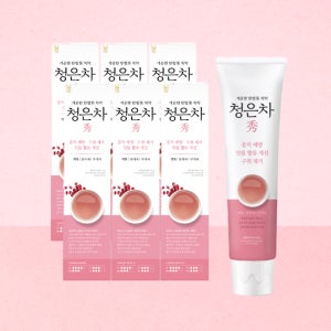 2080 청은차 수치약 120g 6개입