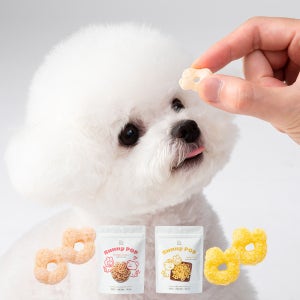 인기만점 육류 단백질 없는 비건 강아지 간식