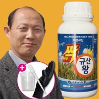 모두싹 규산왕 500ml