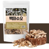 백하수오 500g 하수오 효능 국내산 100% 말린