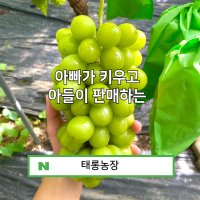 (2kg, 4kg)김천 샤인머스켓