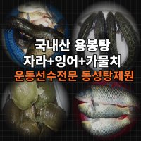 [동성탕제원] 운동선수 수험생 보양식 용봉탕 진액 액기스 엑기스 120포 직접 제조